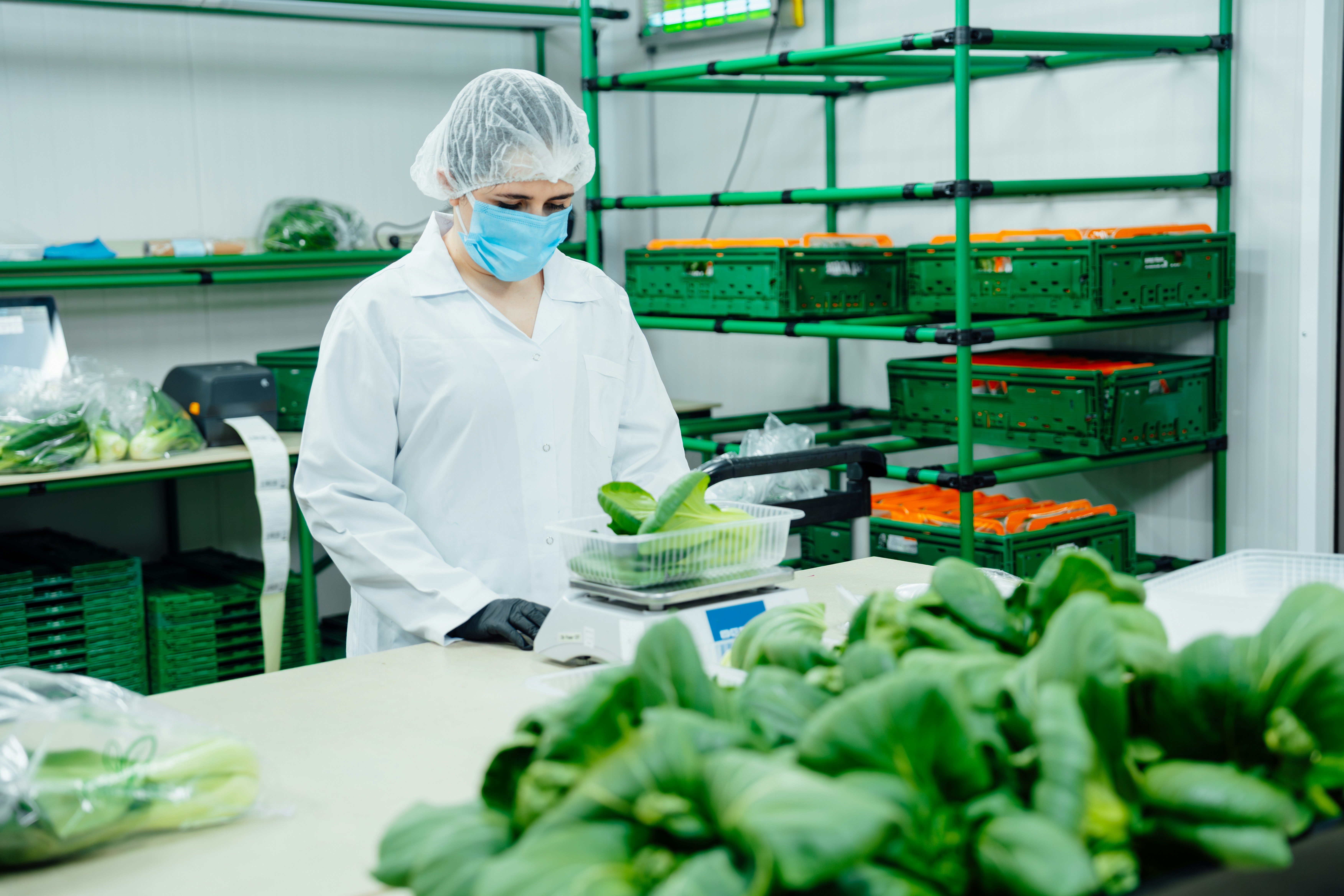 Lebensmittelindustrie