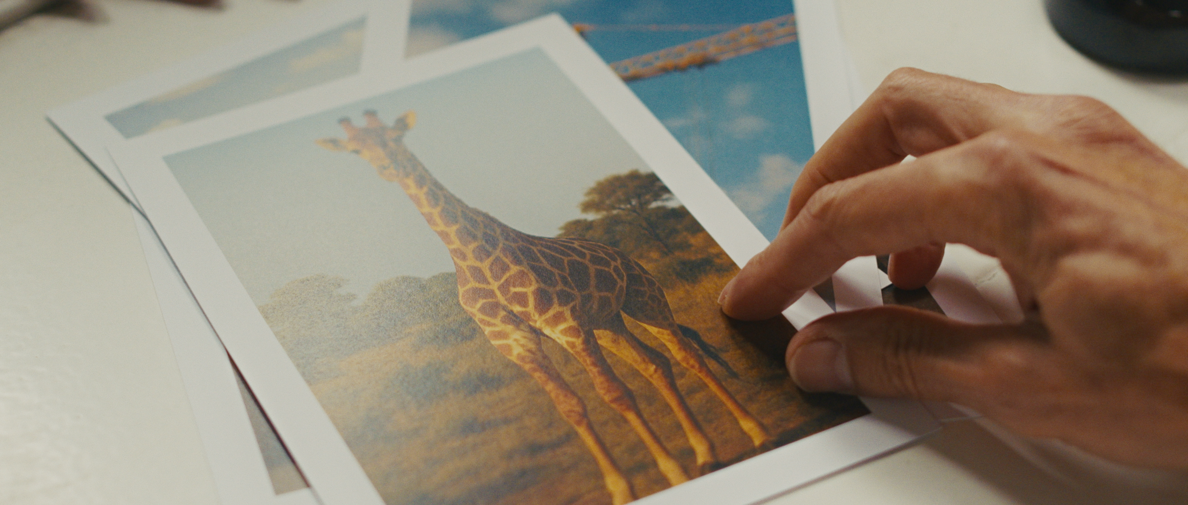 Komplette Importverzollung