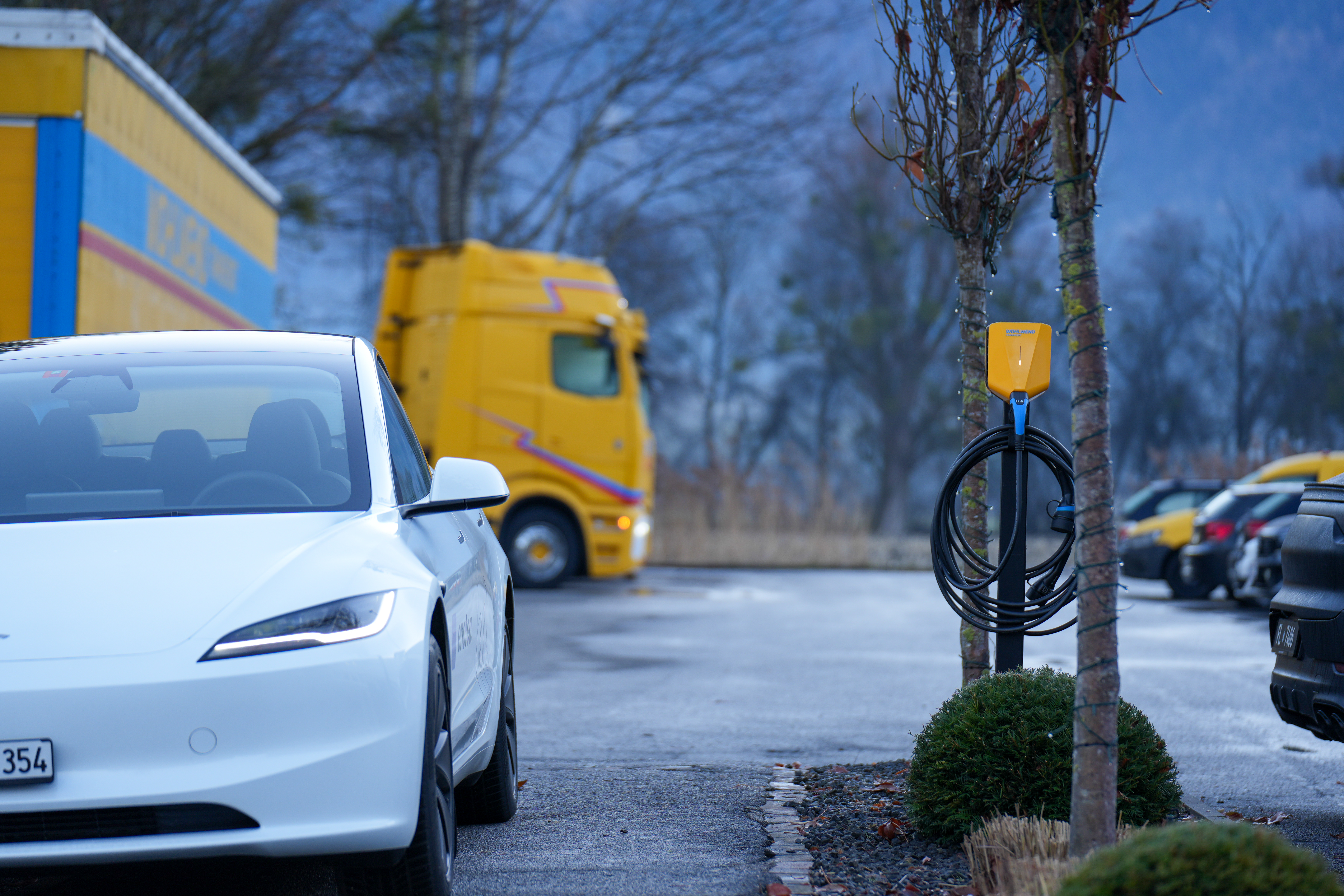 Import of vehicles & goods